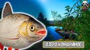 RF4 Успей пока ловится выловить их #рр4