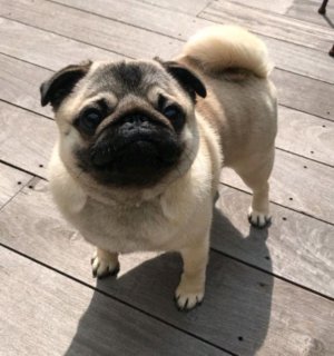 косплей на ютуб