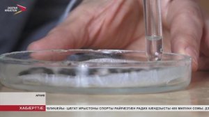 Хӕххон паддзахадон аграрон университеты ӕмбырд кӕнынц "Фермеры скъолайы" ног сезоны архайджыты