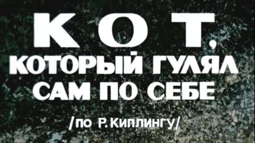 kot.kotoryi.gulial.sam.po.sebe
