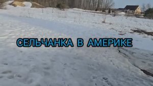 Сельчанка в Америке / ЧТО ТОЛЬКО НЕ СДЕЛАЕШЬ РАДИ НИХ
