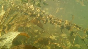 озеро, просто озеро.