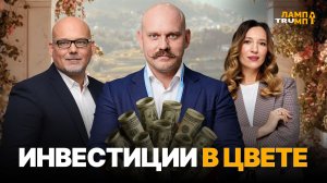 Куда вложить миллион: акции, недвижимость или золото?