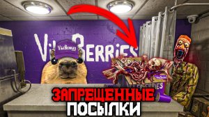 Я УСТРОИЛСЯ В ПУНКТ ВЫДАЧИ ВАЙББИРИС С ЗАПРЕЩЕННЫМИ ПОСЫЛКАМИ..🔪 - Обзор Pickup Point of VB