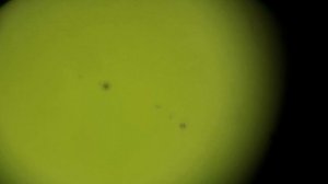 солнце 130кр 06.03.26