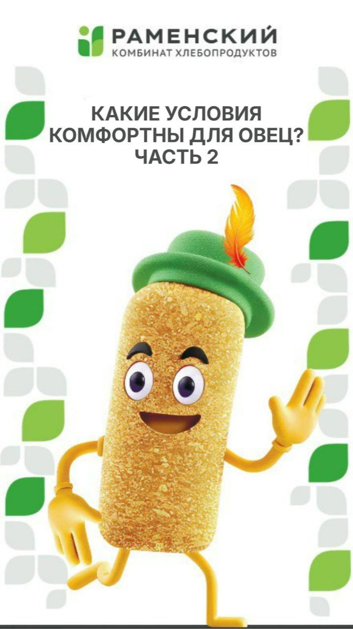 Продолжаем разговор о создании комфортных условий для овец.