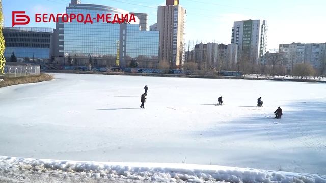 В Белгороде сотрудники управления МЧС регулярно проводят тренировки по спасению утопающих смотреть онлайн