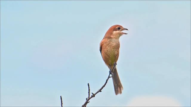 Устали от безденежья_ Сделайте 6 марта и долги уйдут.