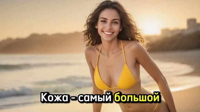 Кожа человека