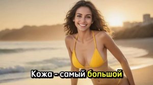 Кожа человека