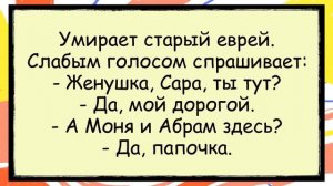 🐸_Сантехник_и_Профессор_реалии_современности_✅анекдоты_✅юмор_✅смех