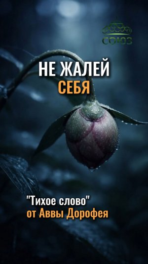 Не жалей себя! - наставление Аввы Дорофея