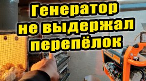 Генератор не выдержал / Сезон изготовления клеток открыт