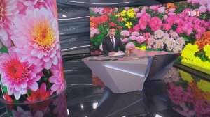 В Челябинской области выращивают южно-уральские хризантемы