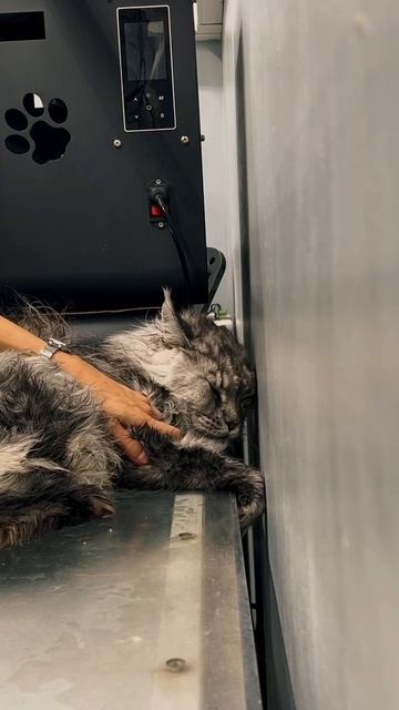 Для записи звоните +7 911 081‑42‑52