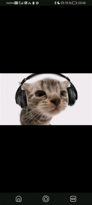 картина по номерам