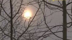 МИМОХОДОМ", 6 марта 2014 год. Автор проекта О. Дзиов