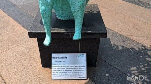 Делийское, ч 1, Хануман мундир, отель