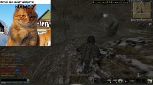 Томный вечер с десантурой