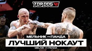 Мельник VS Панда | Лучший нокаут | TOP DOG 41, Новосибирск