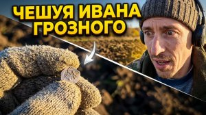 3009 / Небольшой осенний коп / Поиск монет и кладов с XP Deus 2