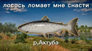 Огромные лососи каспийские ломают мне снасти
