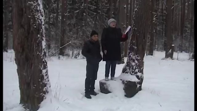 Частушки про Путина.