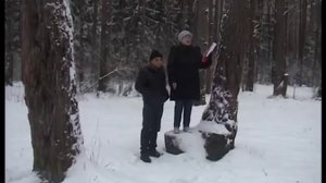 Частушки про Путина.