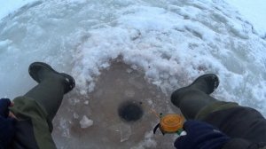 Нахимовское озеро. Рыбалка 6.3.26.