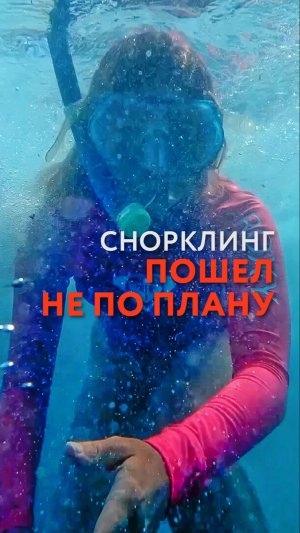 Снорклинг пошёл не по плану