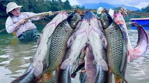 Девушка ловит большую рыбу большой бамбуковой удочкой. Традиционная рыбалка Вьетнама