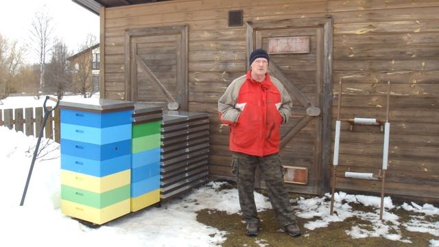 Как зимует Бакфаст.