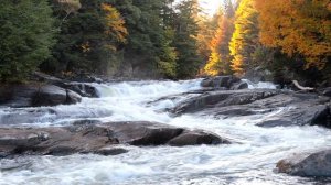 Горный ручей | Белый шум для снятия стресса, релаксации и сна | Звуки природы 4K UHD