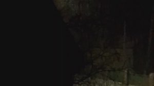 Ночной снегопад .❄️❄️❄️