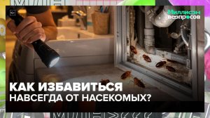 Как избавиться от насекомых в квартире? | Миллион вопросов — Москва 24 | Контент