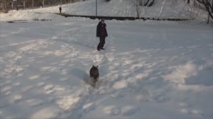 2024 Лета.16.03 1ч Левобережный. Вдоль Залива