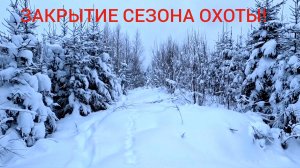 "БЕЛЫЙ ПЛЕН" ДЛЯ СОБАКИ! ОХОТА С ГОНЧЕЙ НА ЗАЙЦА В ГЛУХОЗИМЬЕ! НАЙДА ПРОСТО УМНИЦА!