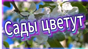 Сады цветут...В память о прекрасной Анны Герман