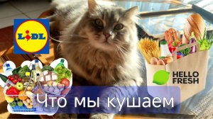 Рутинка марта и покупки. И конечно же кот!