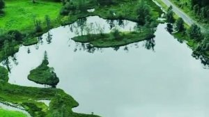 «Плавучие острова» — плотная масса, состоящая из плавающих водорослей, ила и торфа, которая может де