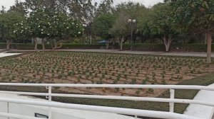 В парке Мамзар!