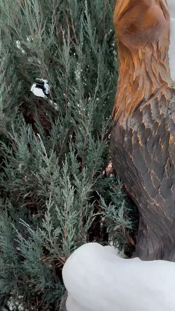 Деревянные фигуры. Город Тюмень!