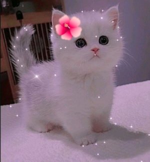 разговариваем, болтаем, играем, рисуем