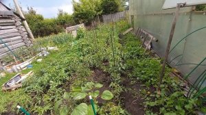 ЕЩЁ ОДИН ДЕНЬ ТЕПЛА