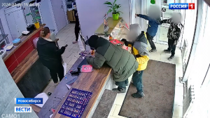 Полиция пресекла деятельность подростковой группы хулиганов в Новосибирске