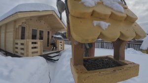 6 соток 26 февраля 2026 года. Хроника.