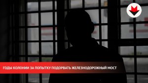 Хотел заработать легких денег, а получил годы колонии