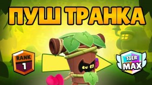 Пушу Транка на второй Прайм 1200к+