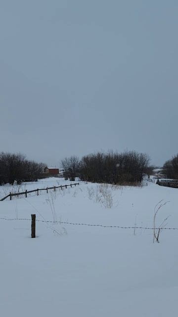 г.Томск, Эушта Тояна 8/3