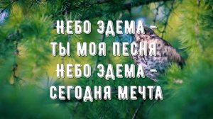 Небо Эдема - минус мой 2